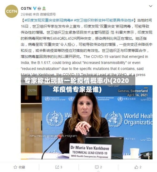 专家称出现新一轮疫情概率小(2020年疫情专家是谁)-第2张图片