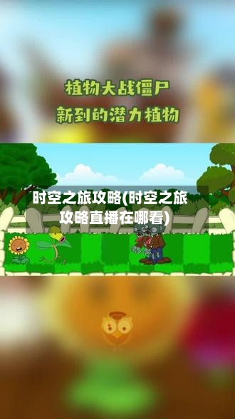 时空之旅攻略(时空之旅攻略直播在哪看)-第2张图片