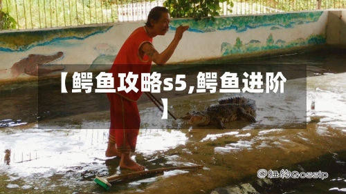 【鳄鱼攻略s5,鳄鱼进阶】-第2张图片