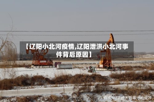 【辽阳小北河疫情,辽阳泄洪小北河事件背后原因】-第3张图片