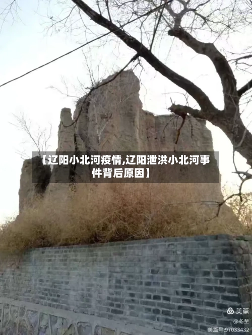 【辽阳小北河疫情,辽阳泄洪小北河事件背后原因】