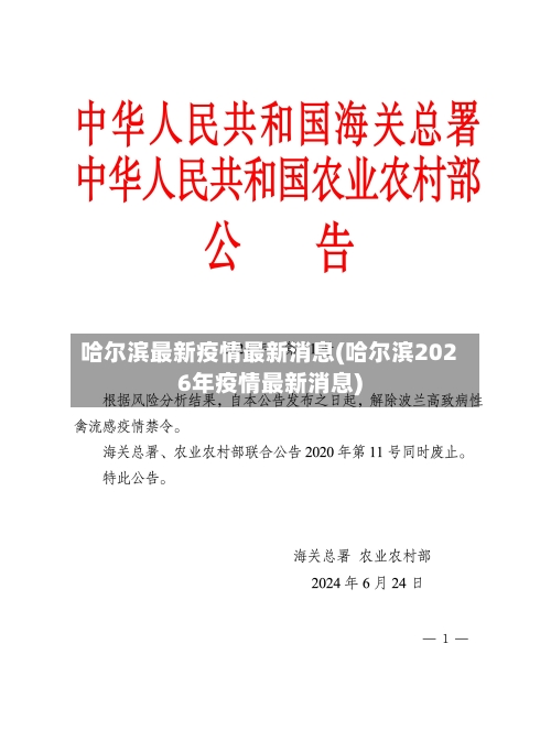 哈尔滨最新疫情最新消息(哈尔滨2026年疫情最新消息)-第2张图片