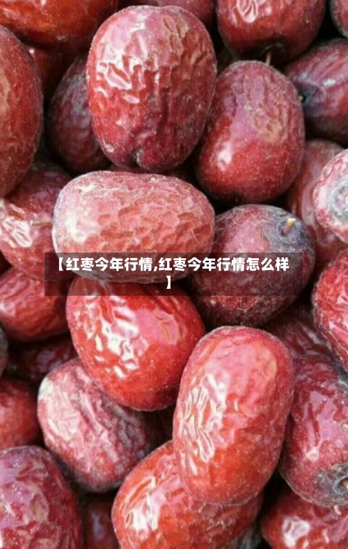 【红枣今年行情,红枣今年行情怎么样】-第2张图片