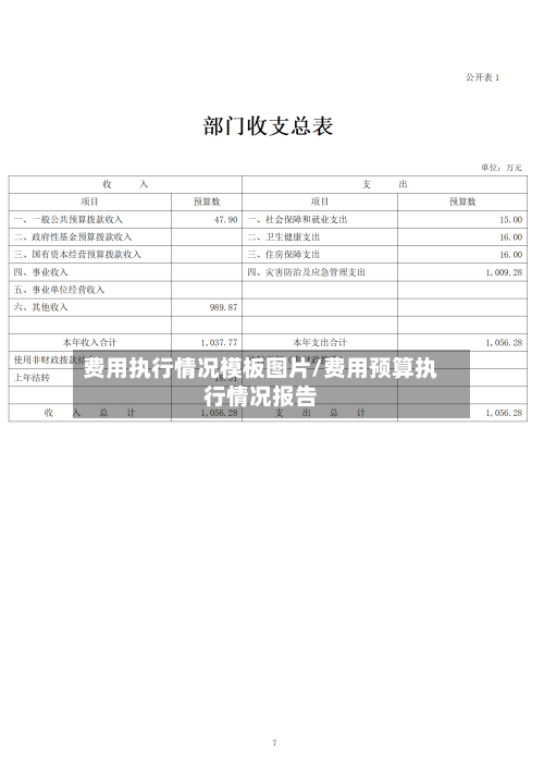 费用执行情况模板图片/费用预算执行情况报告