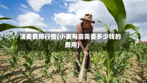 浇麦费用行情(小麦每亩需要多少钱的费用)-第3张图片