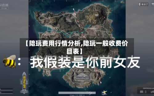 【陪玩费用行情分析,陪玩一般收费价目表】