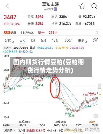 国内期货行情豆粕(豆粕期货行情走势分析)