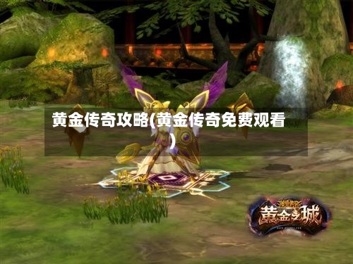 黄金传奇攻略(黄金传奇免费观看)