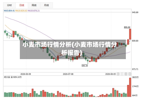 小麦市场行情分析(小麦市场行情分析报告)-第2张图片