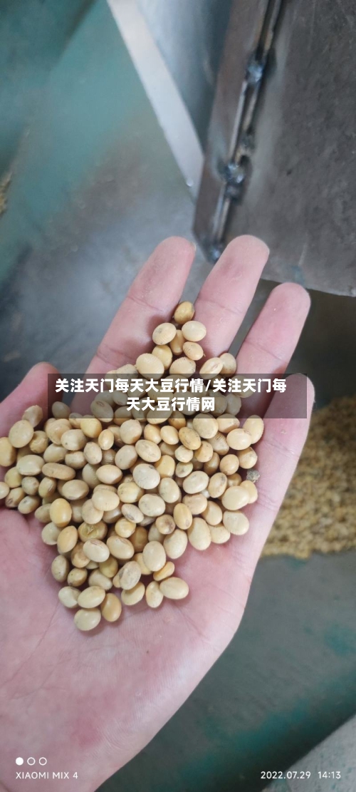 关注天门每天大豆行情/关注天门每天大豆行情网-第3张图片