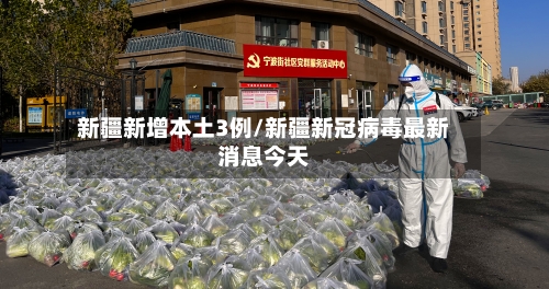 新疆新增本土3例/新疆新冠病毒最新消息今天-第2张图片
