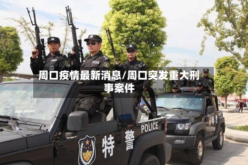 周口疫情最新消息/周口突发重大刑事案件