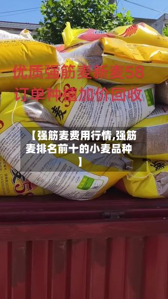 【强筋麦费用行情,强筋麦排名前十的小麦品种】-第3张图片