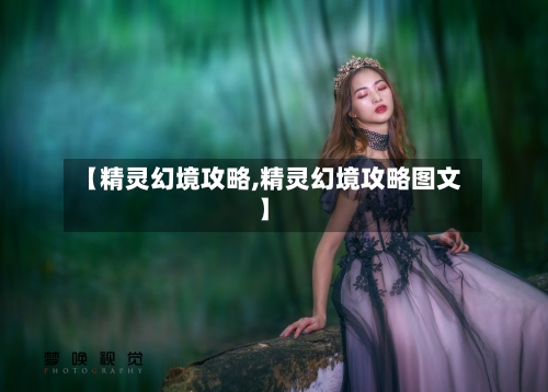 【精灵幻境攻略,精灵幻境攻略图文】