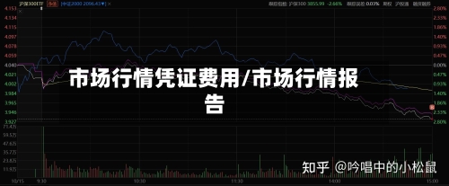 市场行情凭证费用/市场行情报告
