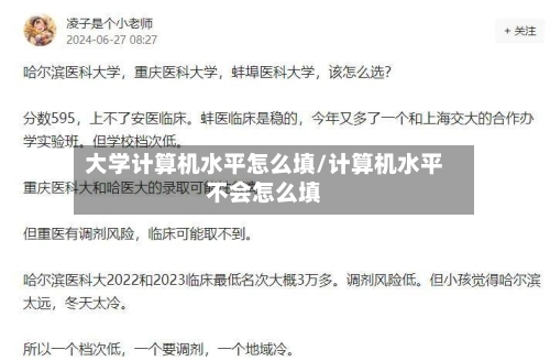 大学计算机水平怎么填/计算机水平不会怎么填