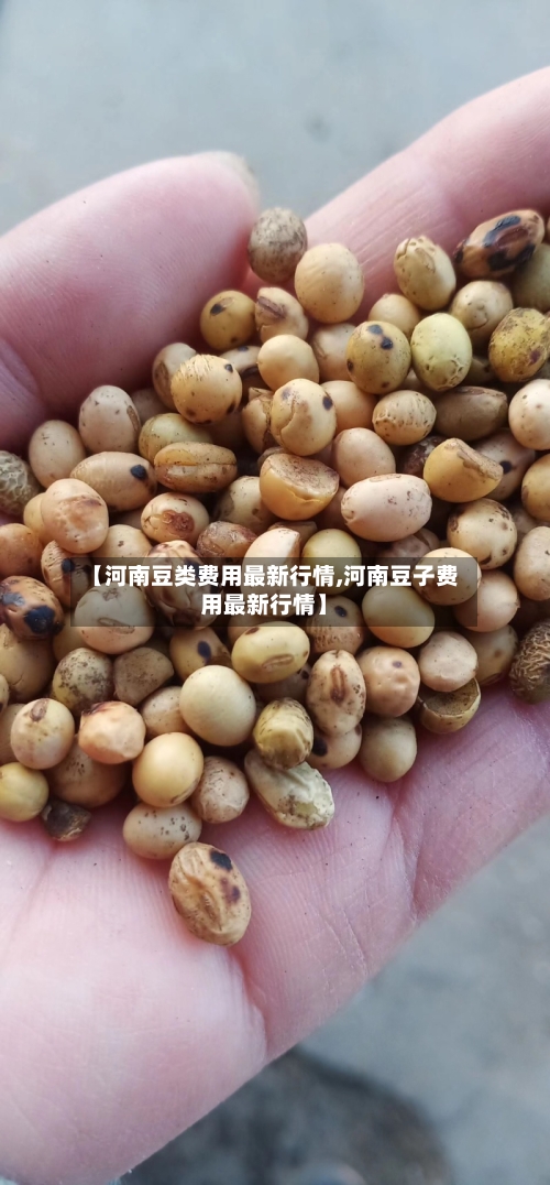 【河南豆类费用最新行情,河南豆子费用最新行情】-第2张图片