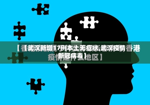 【武汉新增17例本土无症状,武汉疫情新冠病毒】-第2张图片
