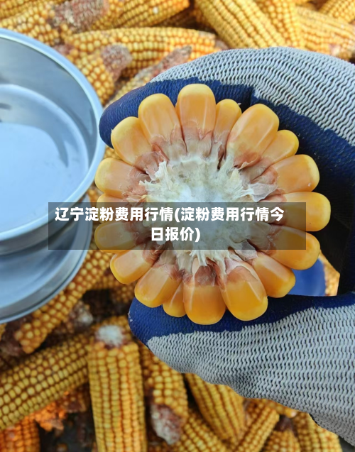 辽宁淀粉费用行情(淀粉费用行情今日报价)