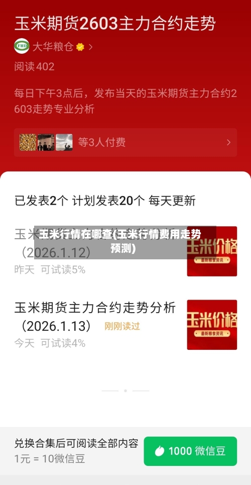 玉米行情在哪查(玉米行情费用走势预测)
