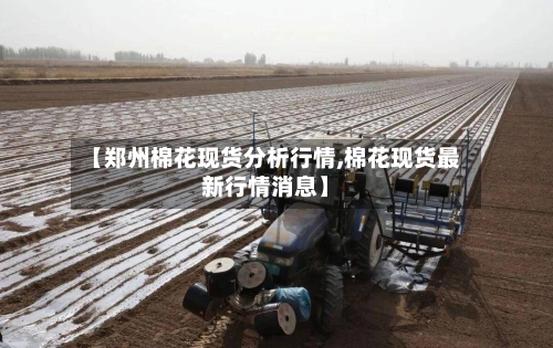 【郑州棉花现货分析行情,棉花现货最新行情消息】-第3张图片