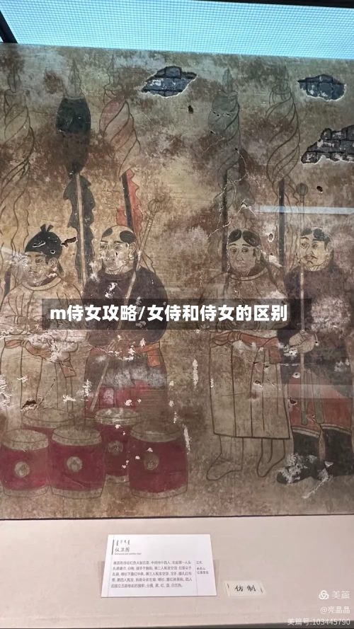 m侍女攻略/女侍和侍女的区别