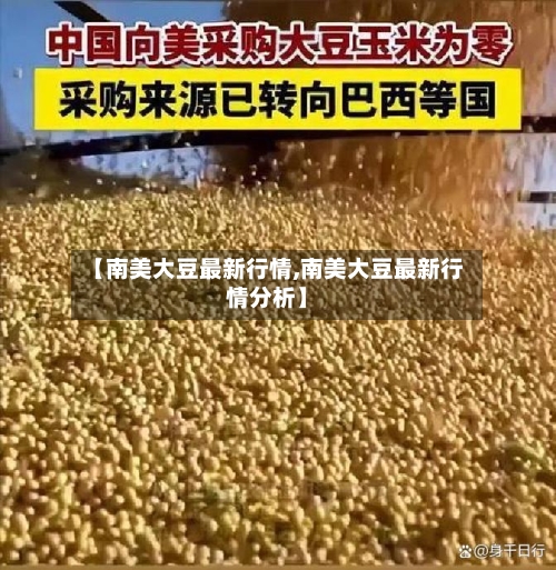 【南美大豆最新行情,南美大豆最新行情分析】-第3张图片
