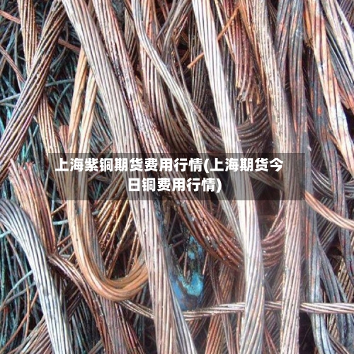 上海紫铜期货费用行情(上海期货今日铜费用行情)