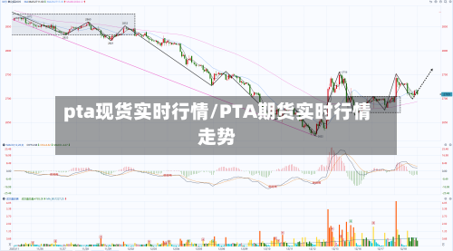 pta现货实时行情/PTA期货实时行情走势