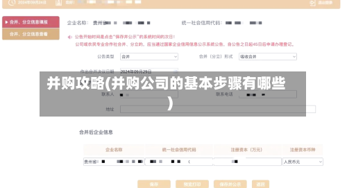 并购攻略(并购公司的基本步骤有哪些)-第3张图片