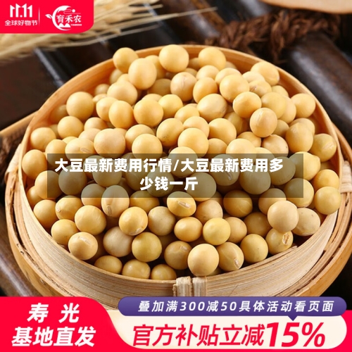 大豆最新费用行情/大豆最新费用多少钱一斤