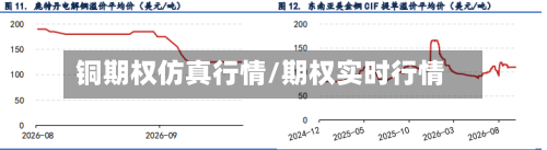 铜期权仿真行情/期权实时行情
