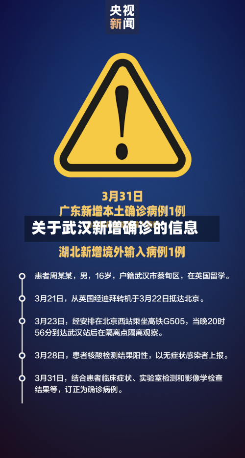 关于武汉新增确诊的信息-第3张图片