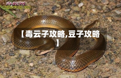 【毒云子攻略,豆子攻略】-第2张图片