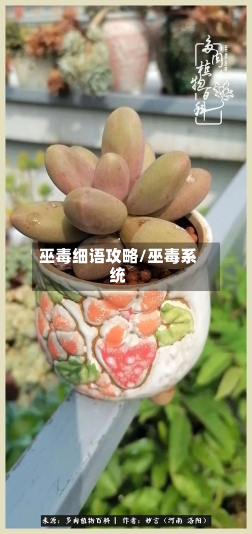 巫毒细语攻略/巫毒系统-第2张图片
