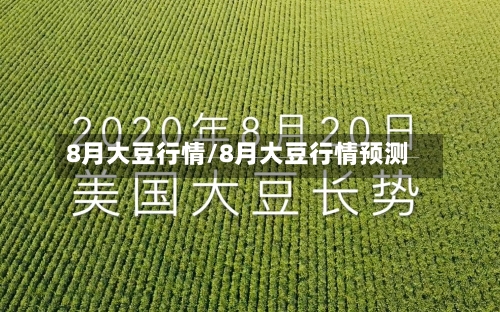 8月大豆行情/8月大豆行情预测-第3张图片