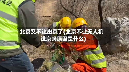 北京又不让出京了(北京不让无人机进京吗原因是什么)-第2张图片
