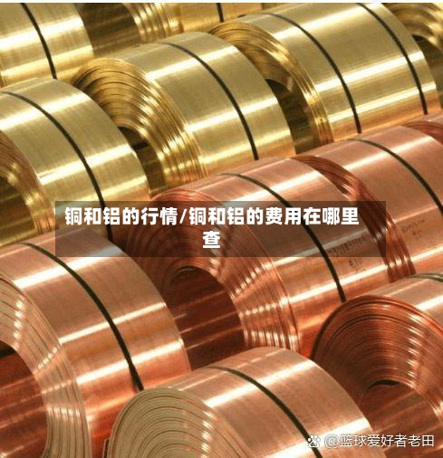 铜和铝的行情/铜和铝的费用在哪里查