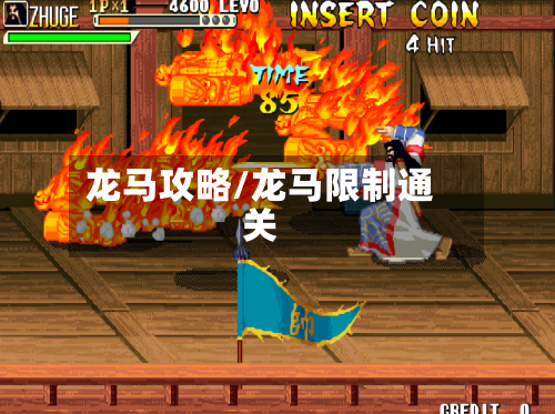 龙马攻略/龙马限制通关