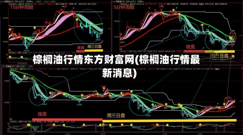 棕榈油行情东方财富网(棕榈油行情最新消息)-第2张图片