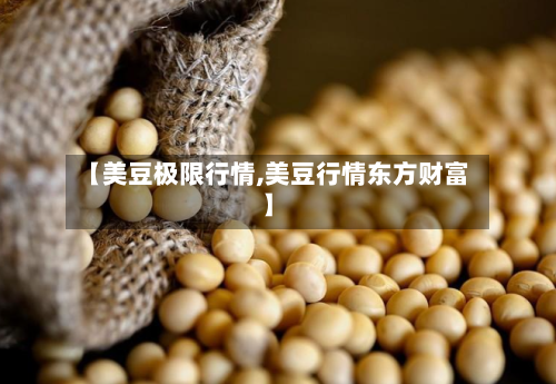 【美豆极限行情,美豆行情东方财富】-第2张图片