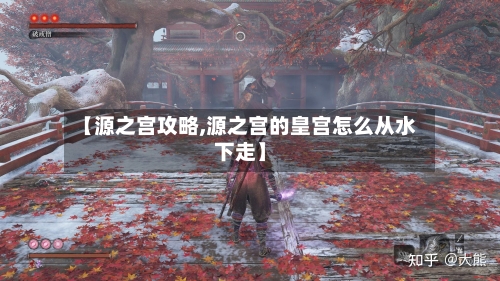 【源之宫攻略,源之宫的皇宫怎么从水下走】