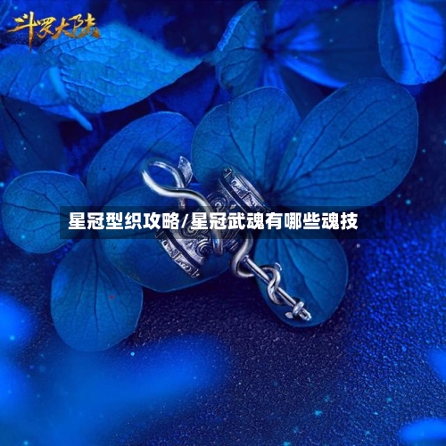 星冠型织攻略/星冠武魂有哪些魂技