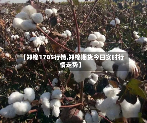 【郑棉1705行情,郑棉期货今日实时行情走势】