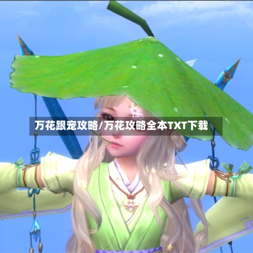 万花跟宠攻略/万花攻略全本TXT下载-第2张图片