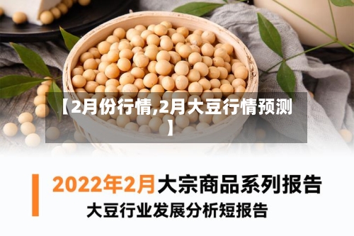 【2月份行情,2月大豆行情预测】