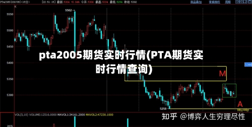 pta2005期货实时行情(PTA期货实时行情查询)-第3张图片