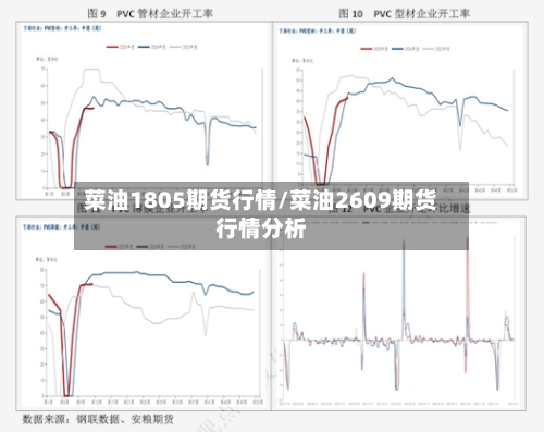 菜油1805期货行情/菜油2609期货行情分析