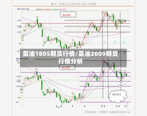 菜油1805期货行情/菜油2609期货行情分析-第3张图片