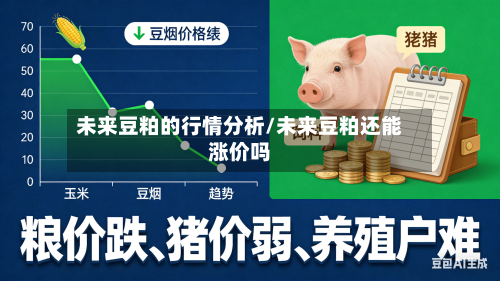 未来豆粕的行情分析/未来豆粕还能涨价吗-第2张图片
